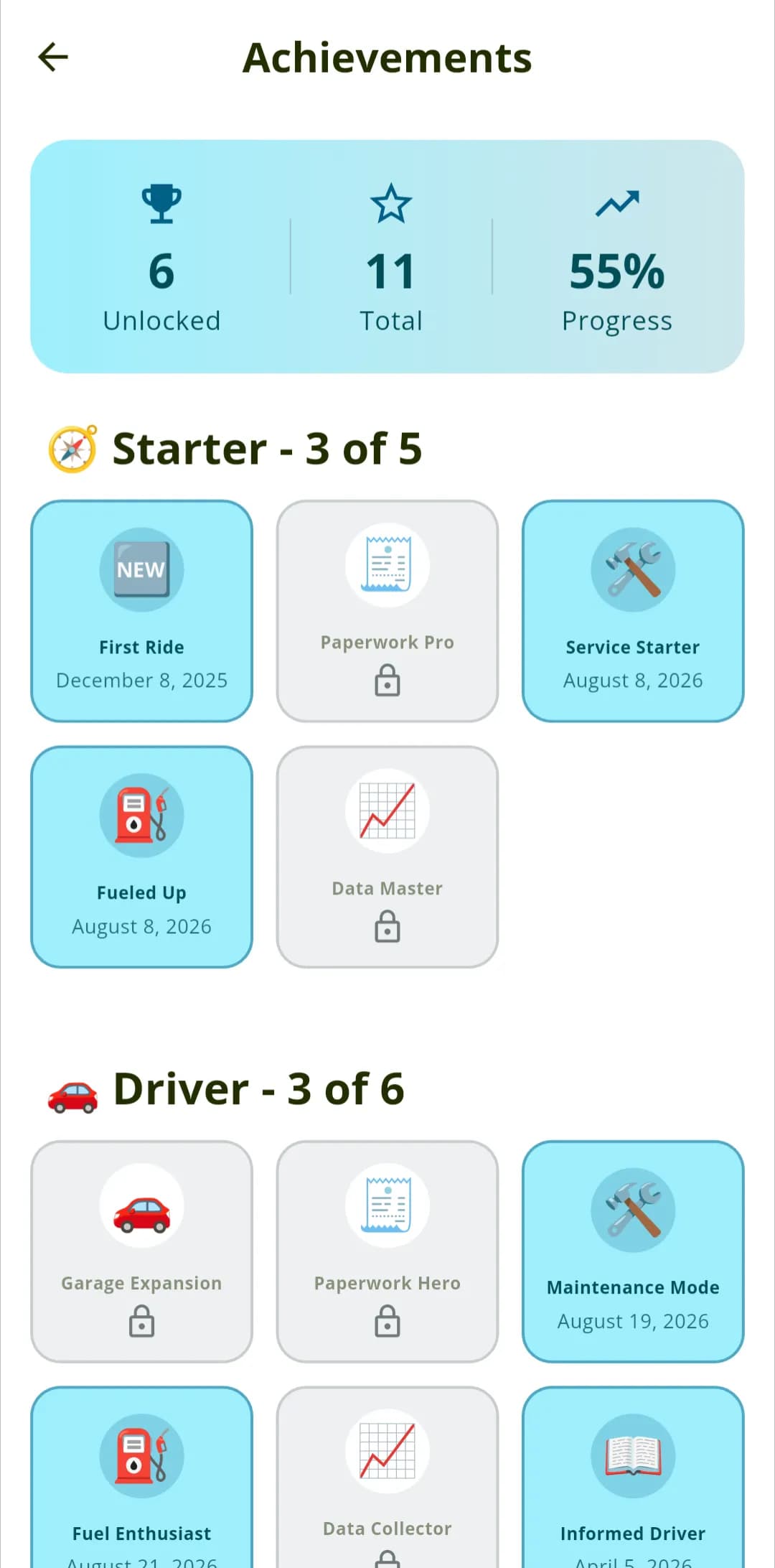 AutoMetric Driver Achievements Feature