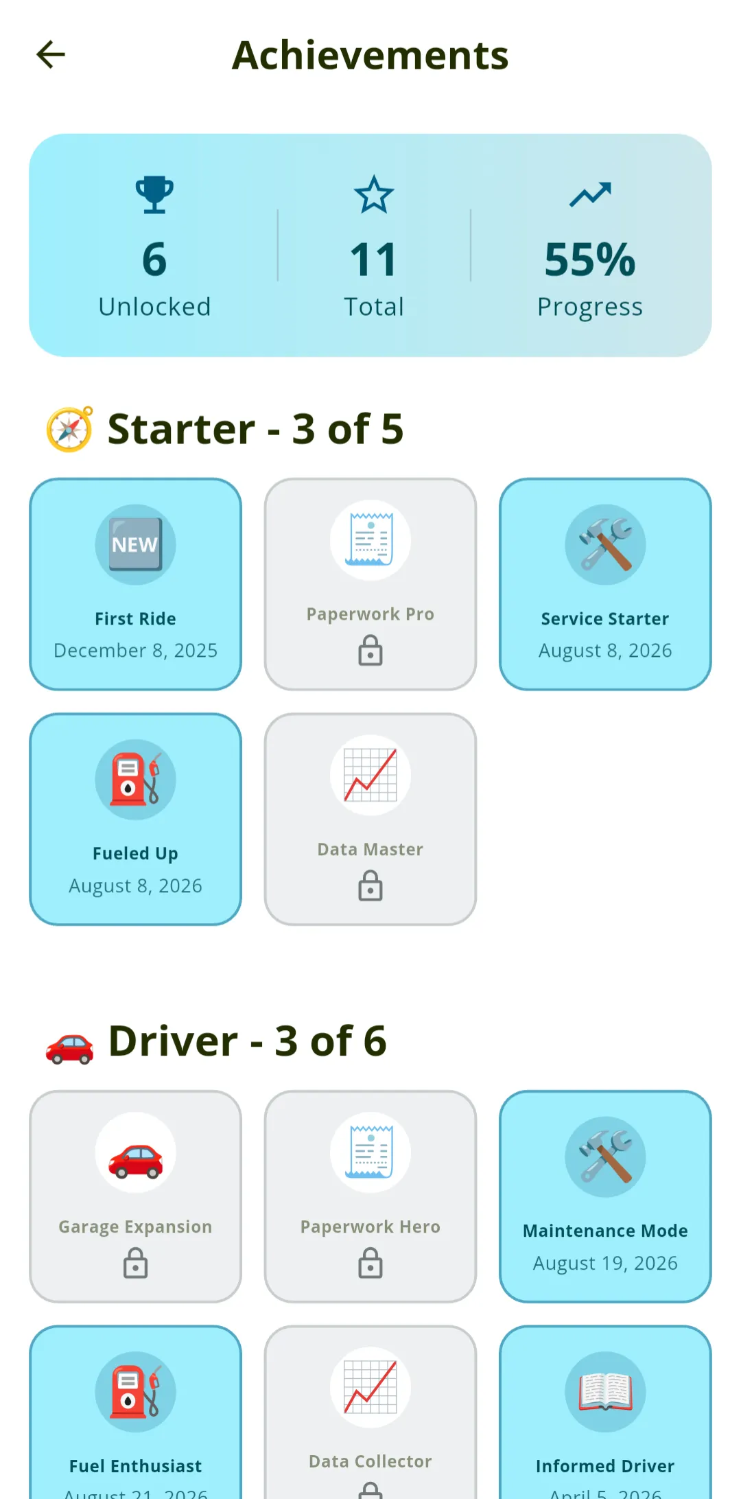 AutoMetric Driver Achievements Feature